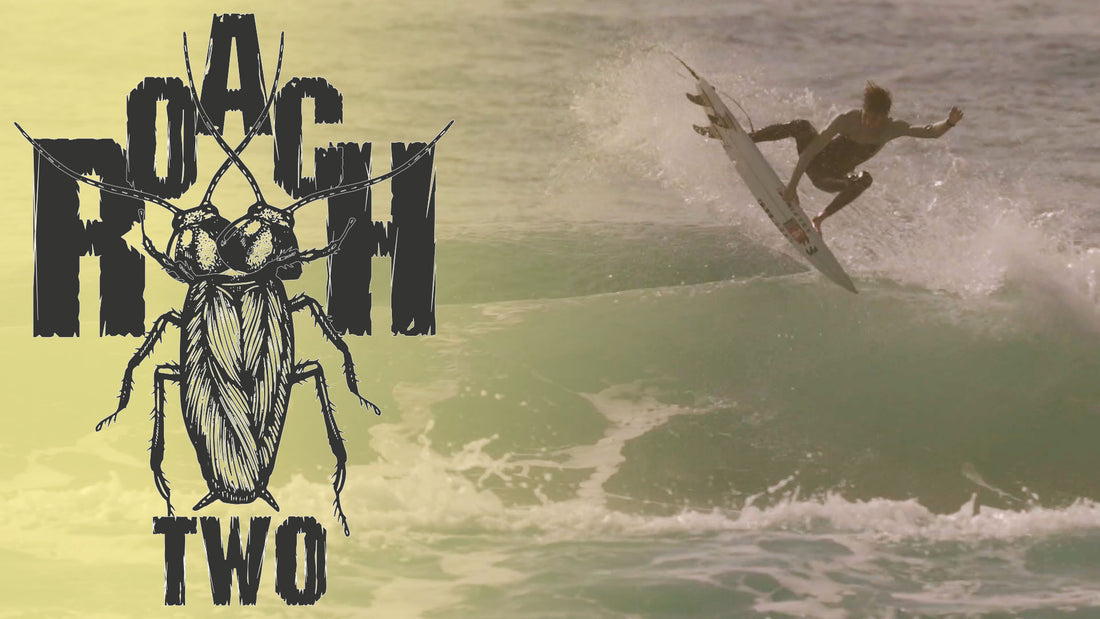 THE ROACH 2 || SUMMER DESTROYER.